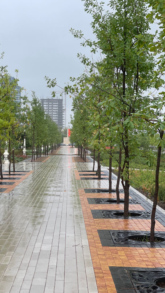 Приствольная решетка для дерева ZKING CRUST 1.2х1.2м Черная в Симферополе фото