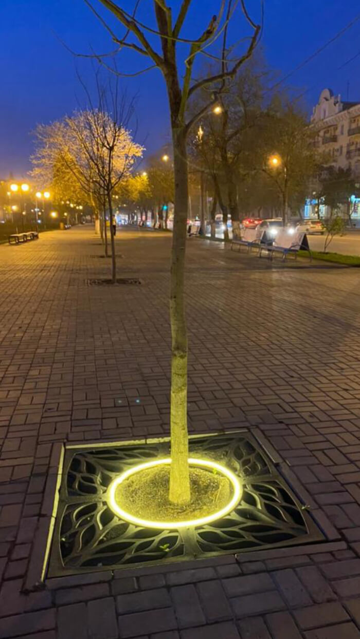 Приствольная решетка для дерева ZKING CRUST 1.2х1.2м Черная в Симферополе фото